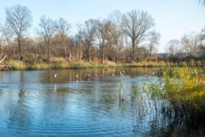 jezioro pawlowskie lomianki