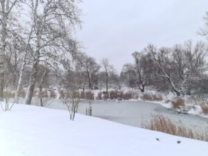 Jezioro Fabryczne zimowa pora osiedle Natura Life
